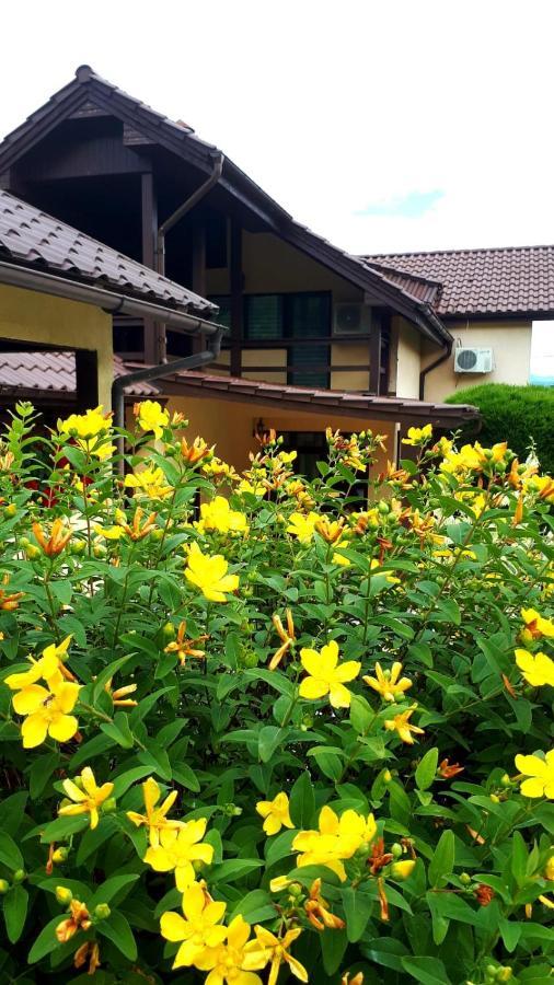 Hotel Silva House Deva Exterior foto