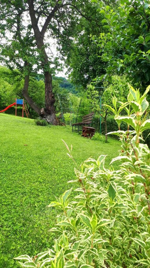 Hotel Silva House Deva Exterior foto